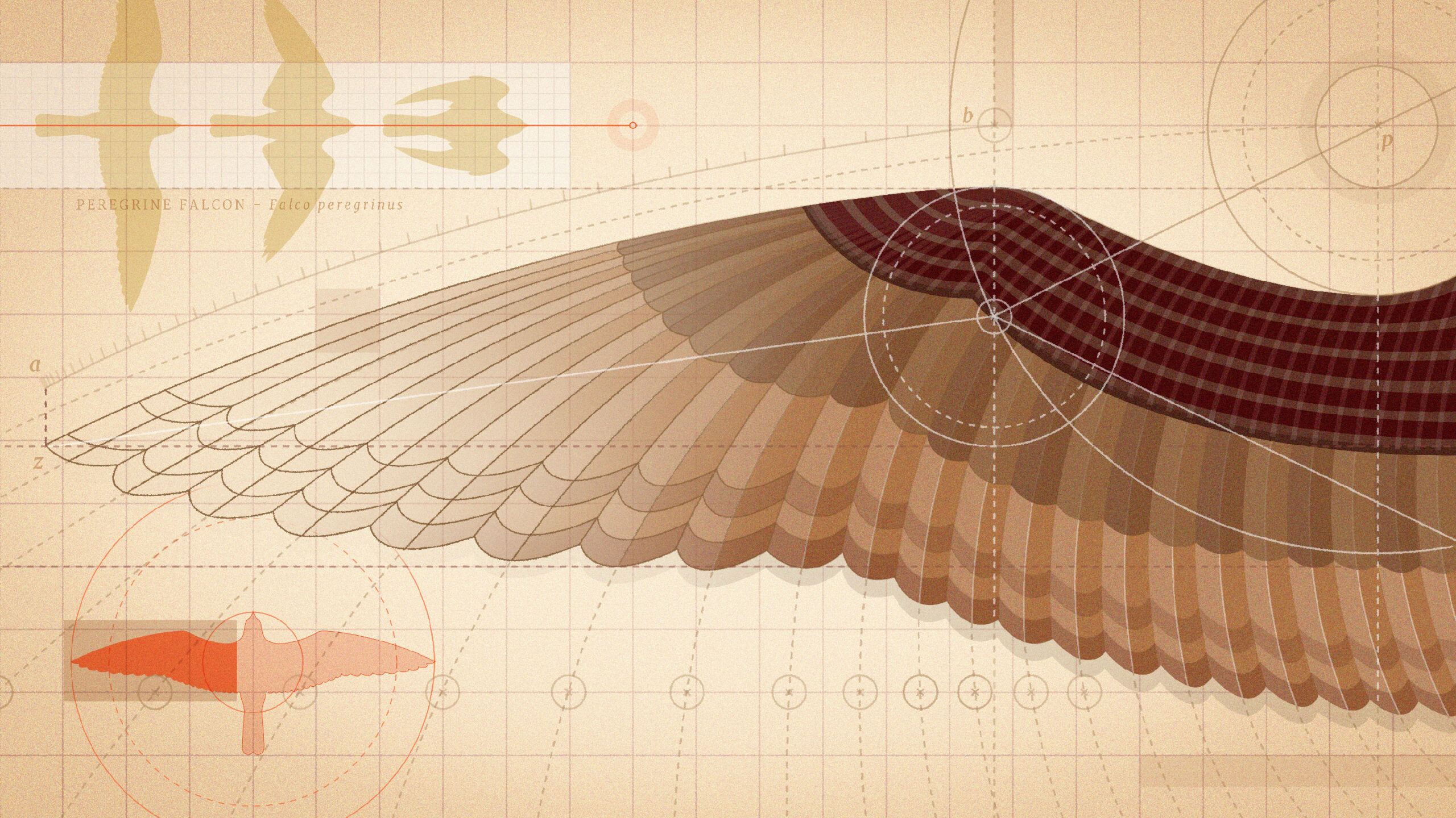 The Science and Art of Flapping Flight: How Birds Inspire Engineering
