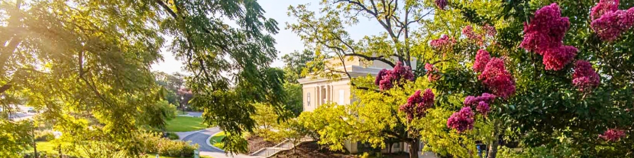 American University