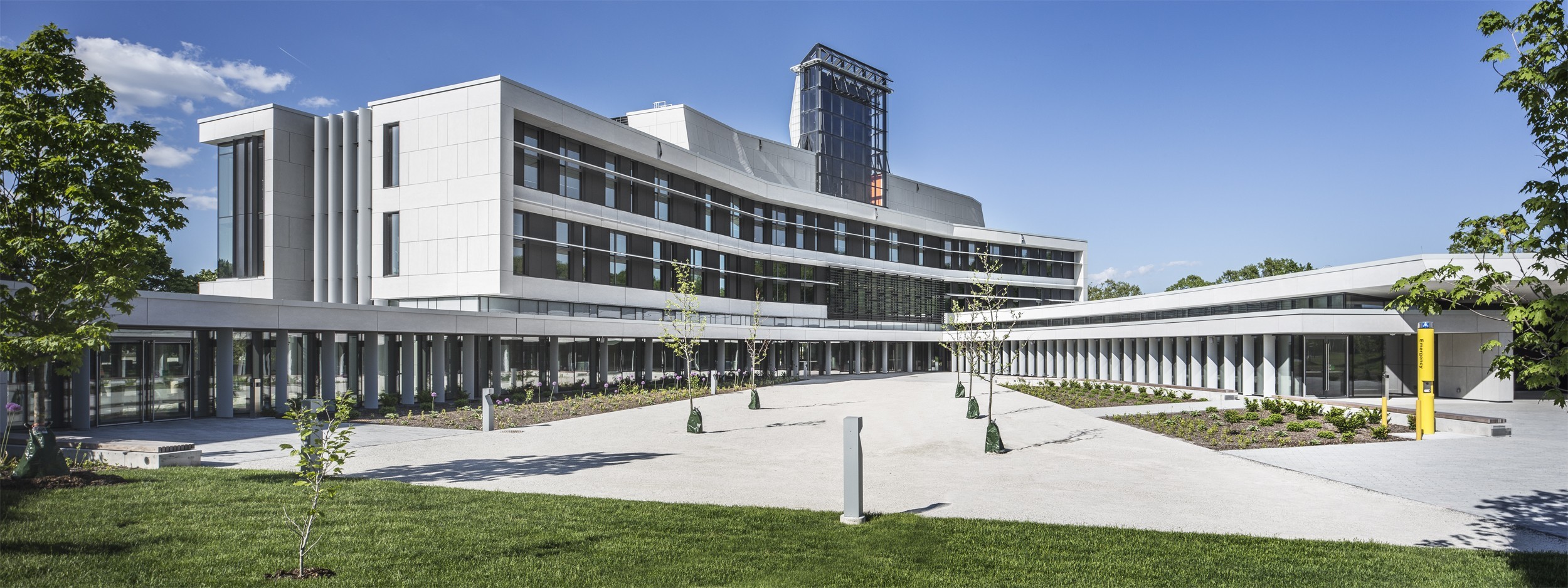 York University