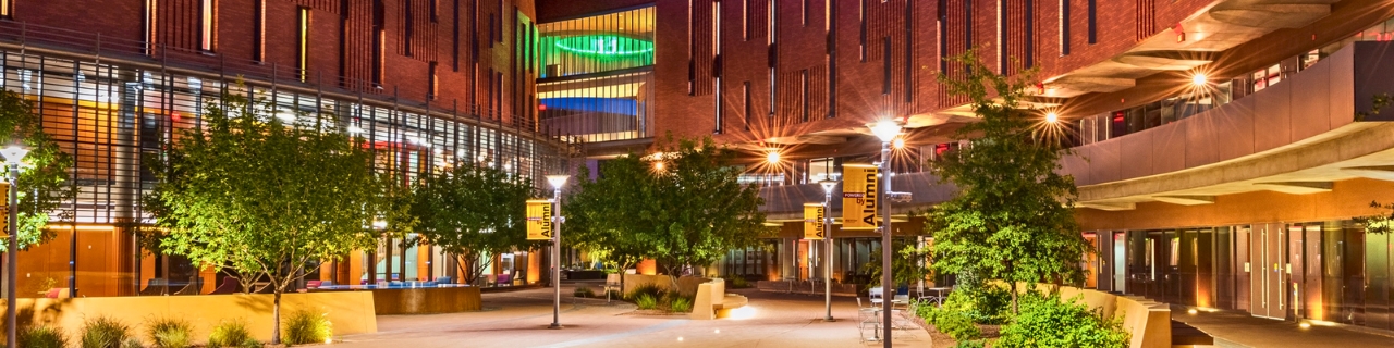 Arizona State University