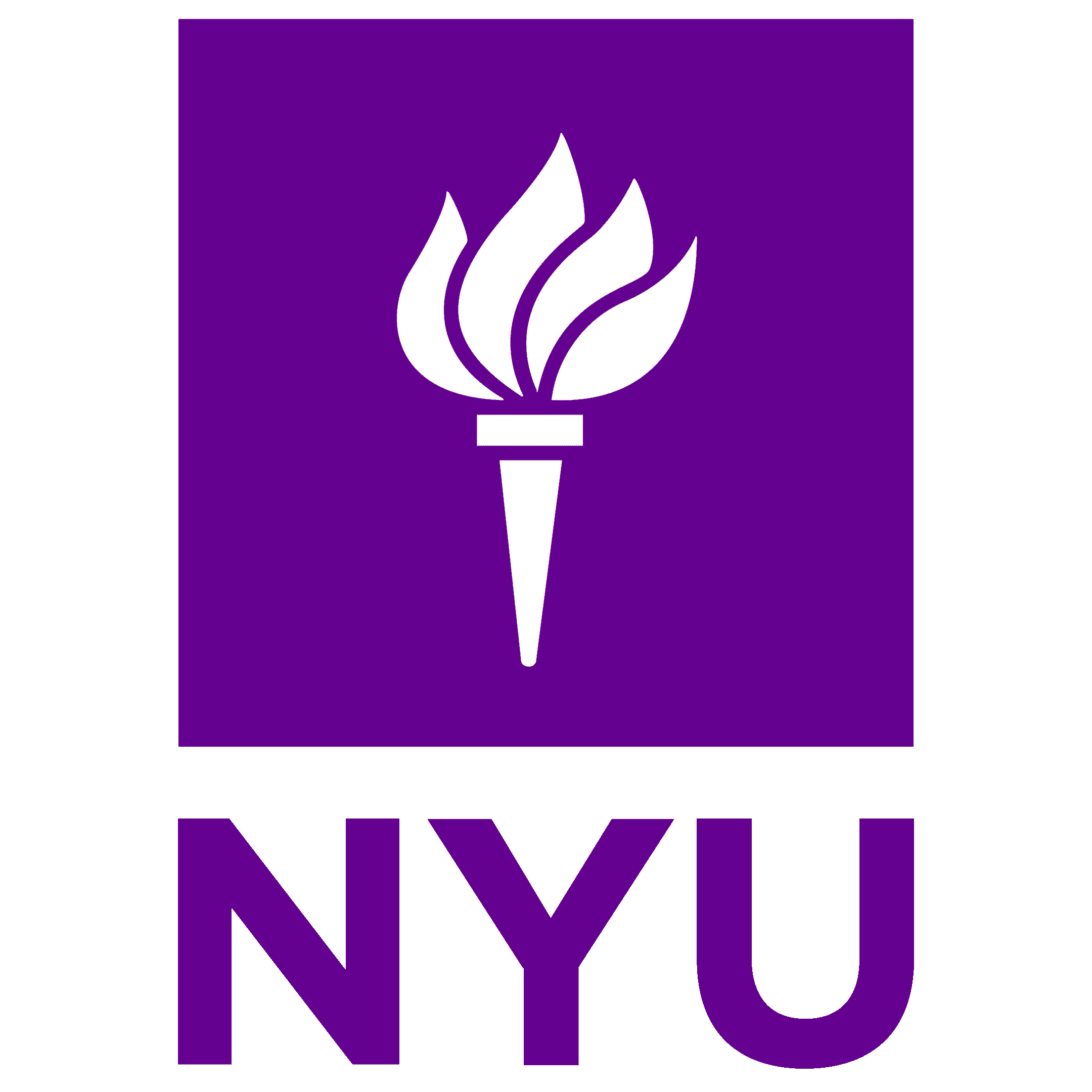 New York University